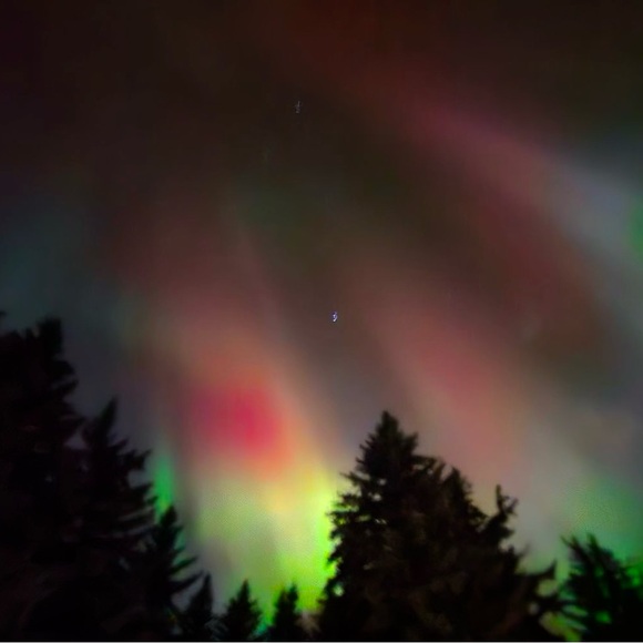 Meet your Posher, Carys - Picture 1 of 1